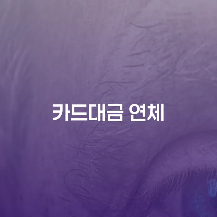 기대출추가대출 연체 시 개인회생 처리방법 변호사추천