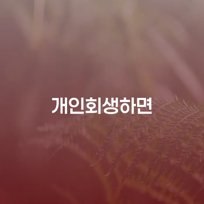 주식빚 채무조정제도을 이용하여 실제사례