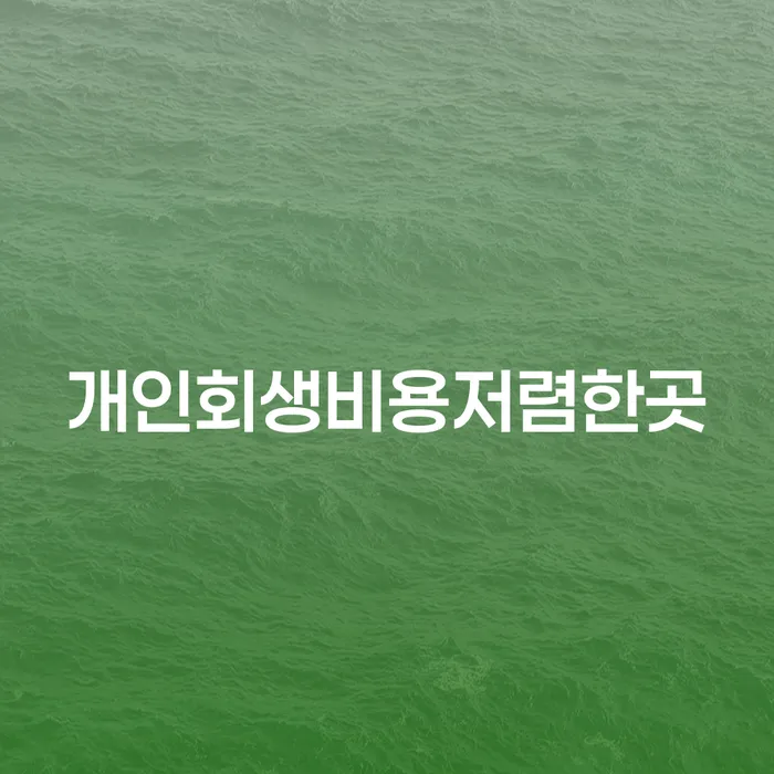 3번째개인회생 빚독촉 살고있는