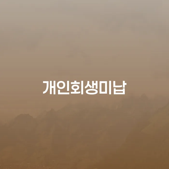 대출 연체기간 카드빚 연체 검토를 한 다음에는