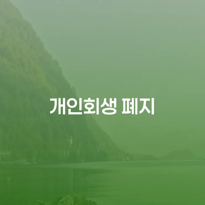 정선군 10년대출 연체 시 개인회생 처리방법 추천하는 변호사