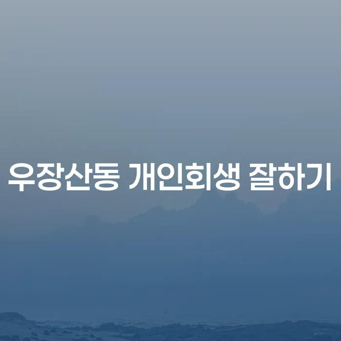 우장산동 개인회생 잘하기
