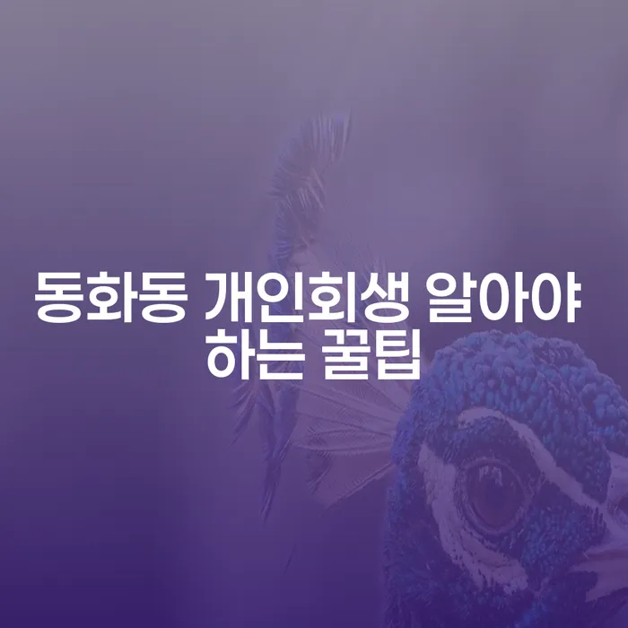 동화동 개인회생 알아야 하는 꿀팁