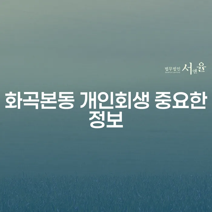 화곡본동 개인회생 중요한정보