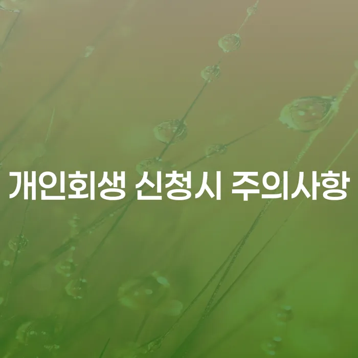 개인회생 신청시 주의사항: 당신이 알아야 할 모든 것