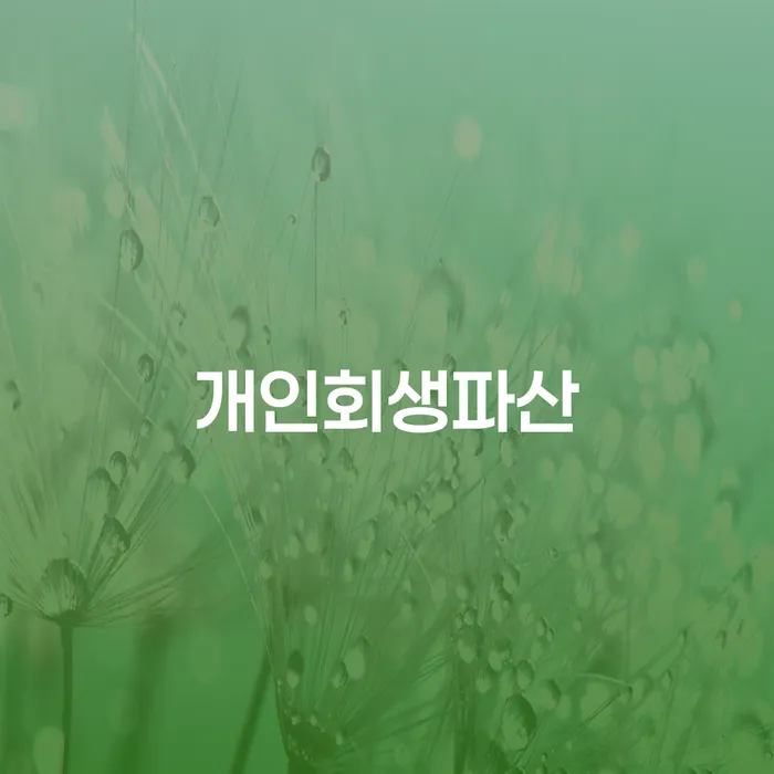 달서구 개인회생과 파산을 통한 경제적 재기
