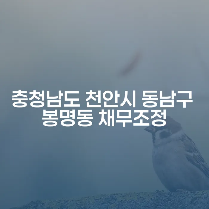 천안시 동남구 봉명동에서 채무조정을 통해 투자 실패를 극복하는 방법은 무엇일까요?