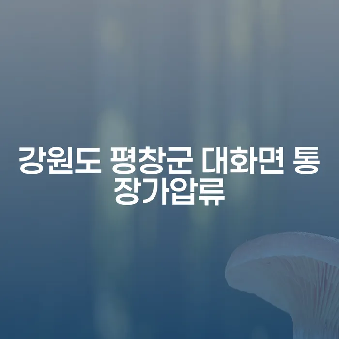 강원도 평창군 대화면에서 통장가압류를 당했을 때, 재회생으로 해결할 수 있을까?