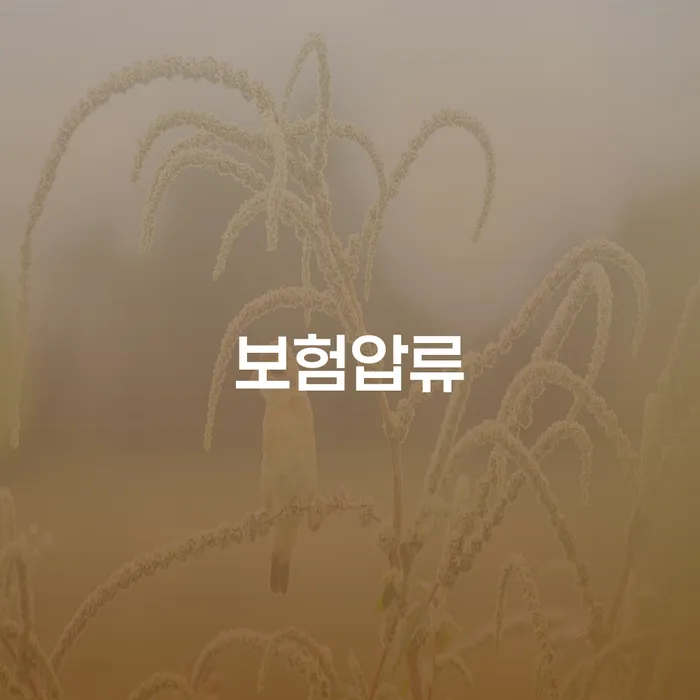 보험압류가 걱정될 때, 익산시 개인회생사무소를 찾아야 하는 이유는?