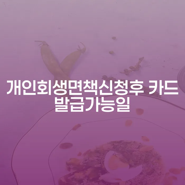 개인회생 후 언제 카드를 발급받을 수 있을까요?
