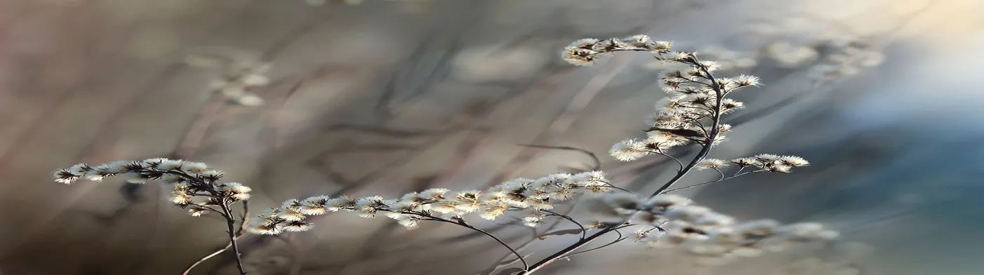 법무법인 서앤율