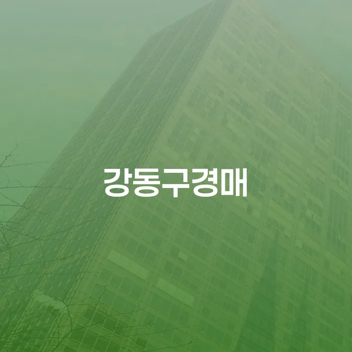 강동구경매와 개인회생, 파산: 어떻게 효과적으로 해결할 수 있을까?
